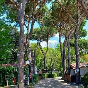 Linus Campeggio Marina di Massa